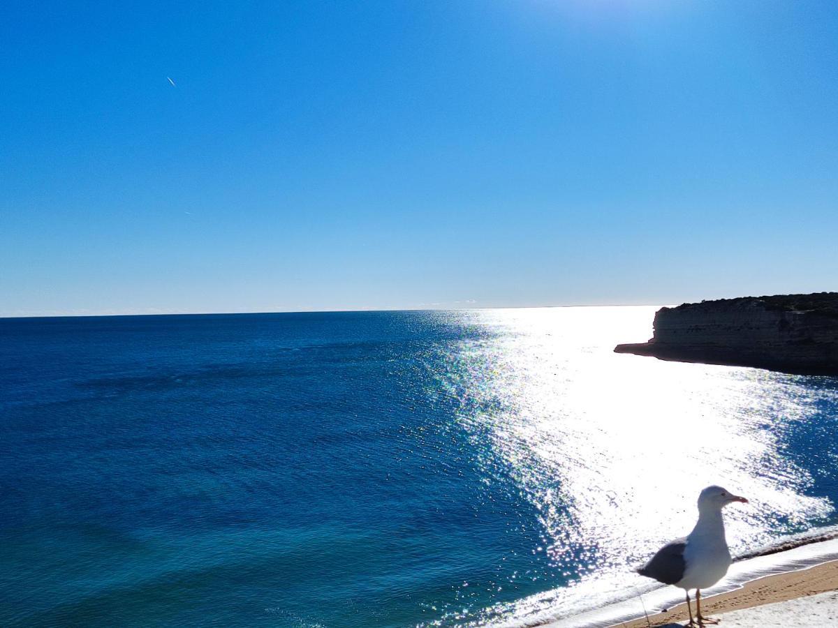 Apartament 01 Sra Da Rocha Com Piscina E Ac - Casas & Papeis Armação de Pêra Zewnętrze zdjęcie